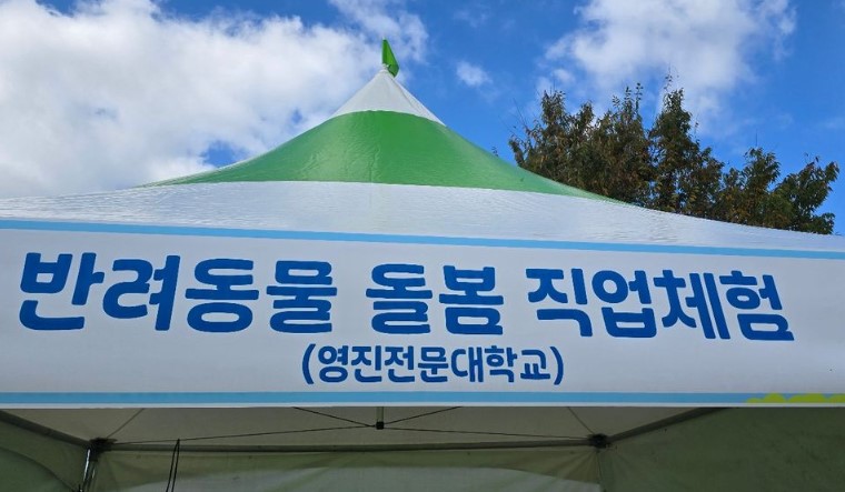 펫동행1.jpg