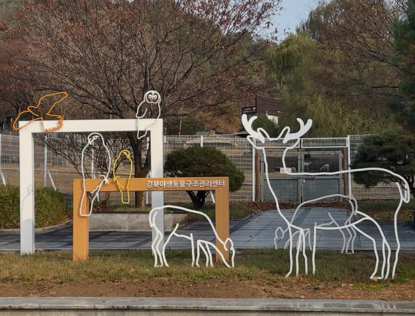 화면 캡처 2026-02-03 155516.jpg