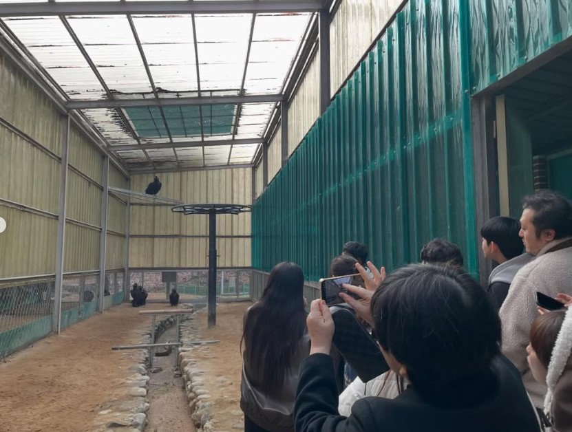 화면 캡처 2026-02-03 155534.jpg