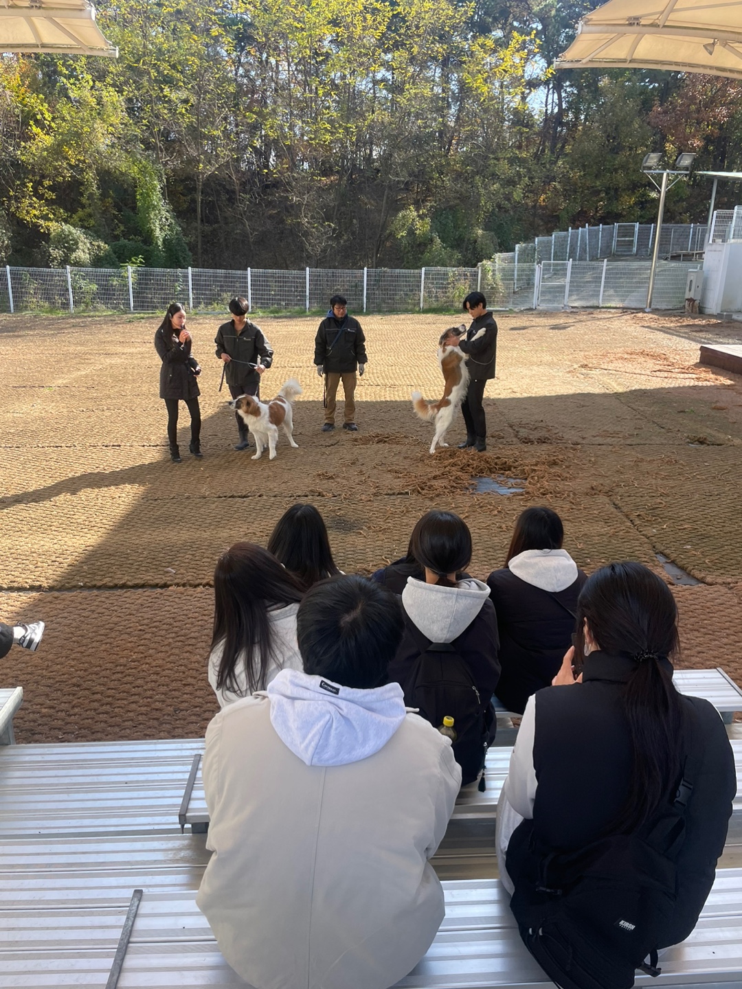 KakaoTalk_20241125_095023471_04.jpg