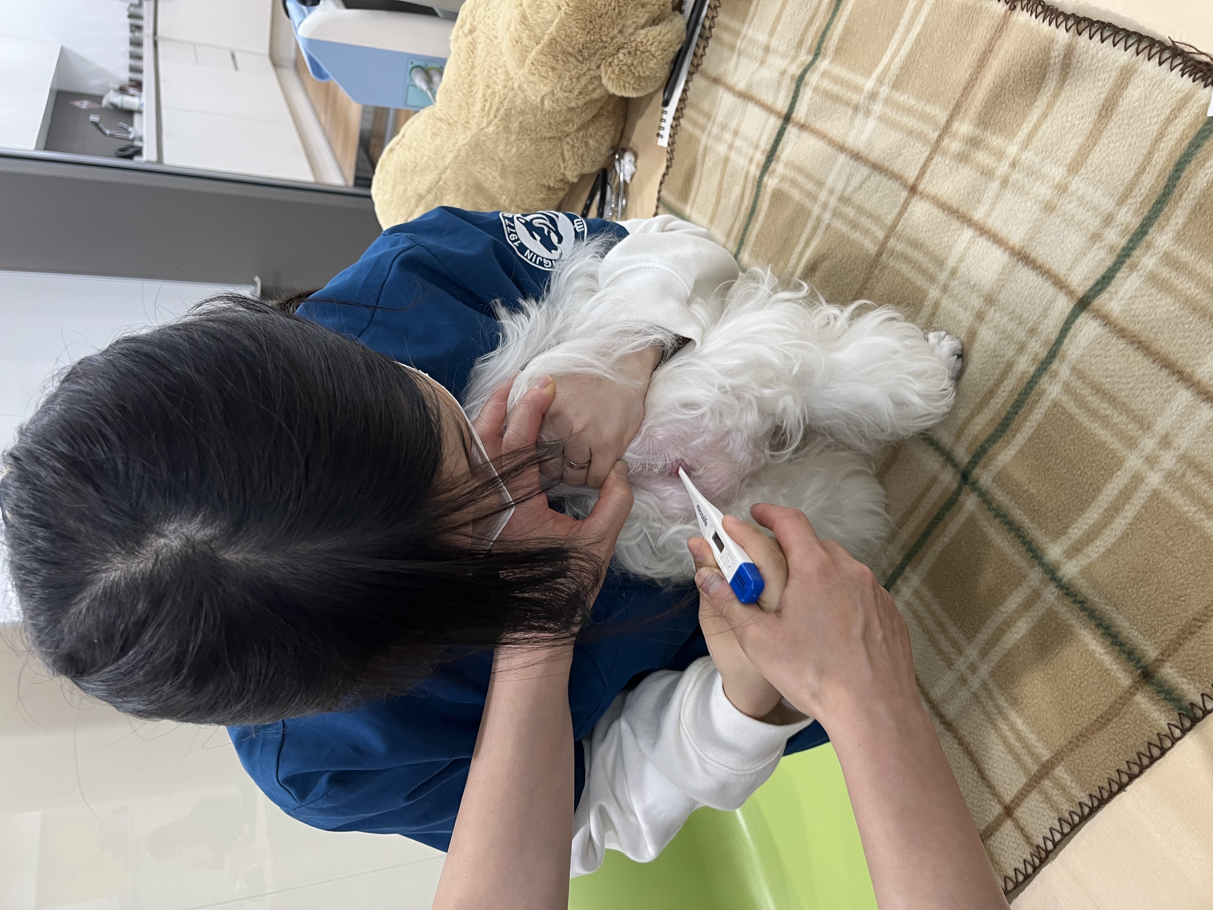 KakaoTalk_20260420_090328860_05.jpg