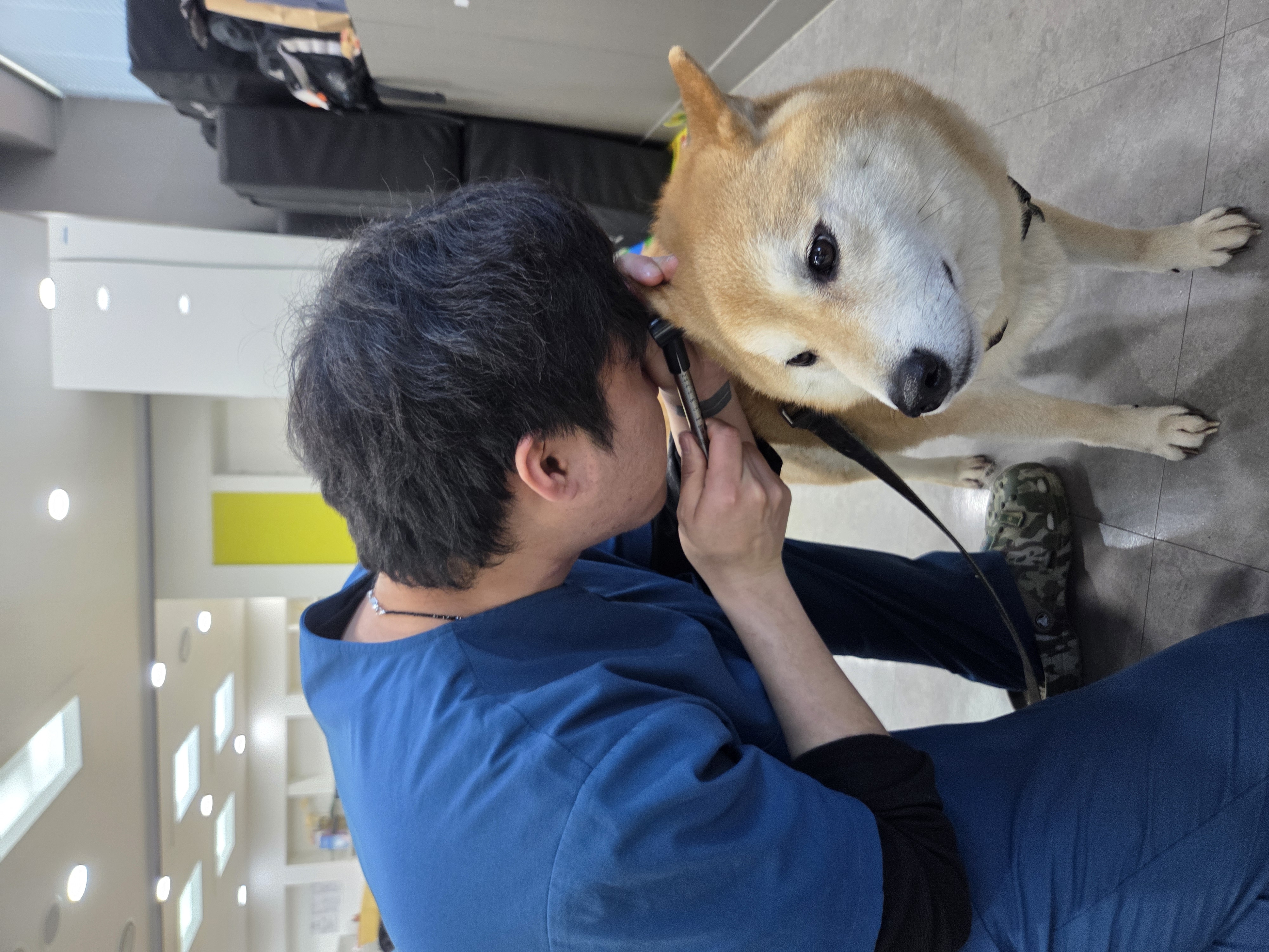 KakaoTalk_20260420_090328860_01.jpg