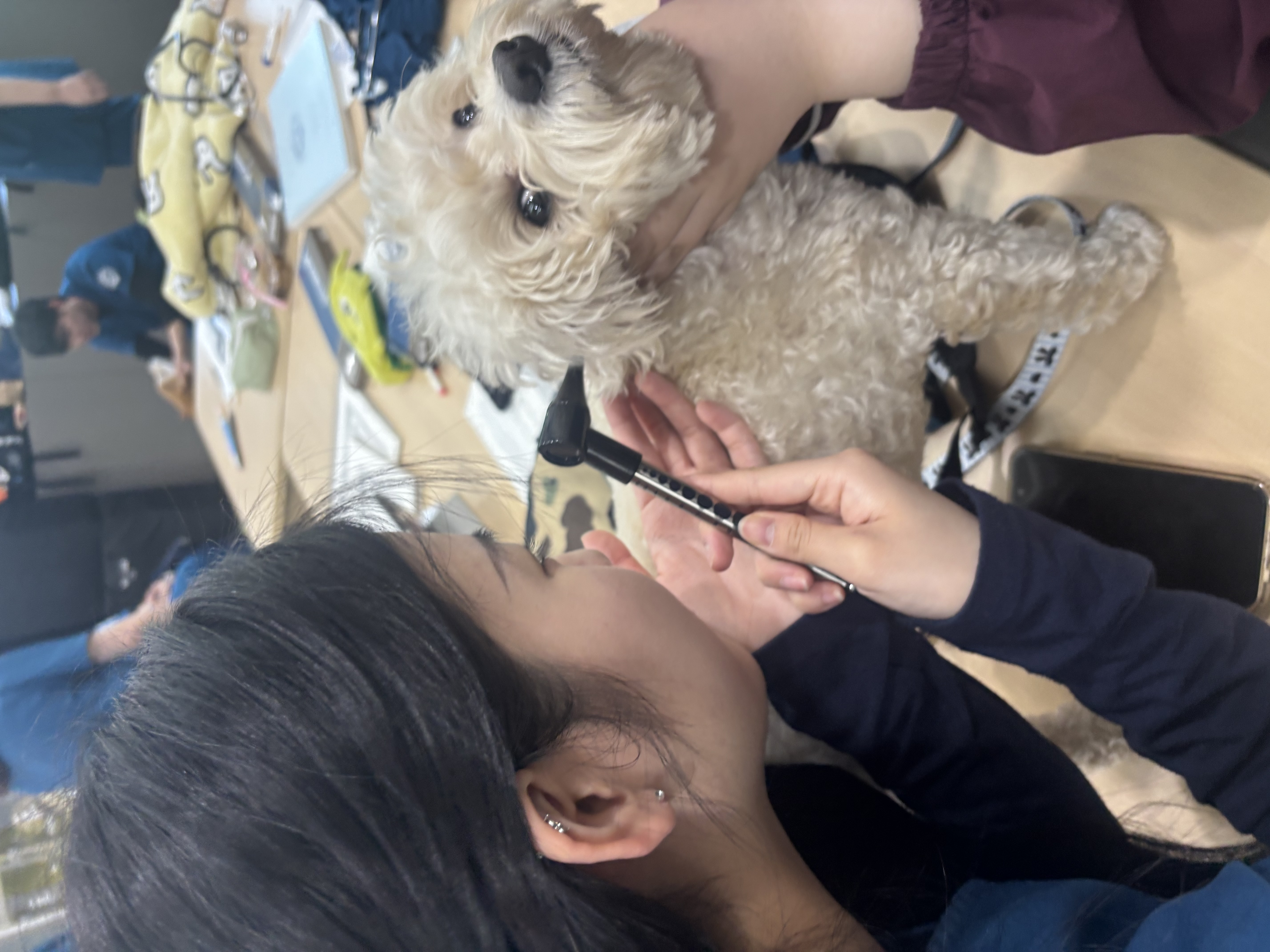KakaoTalk_20260420_090328860_04.jpg