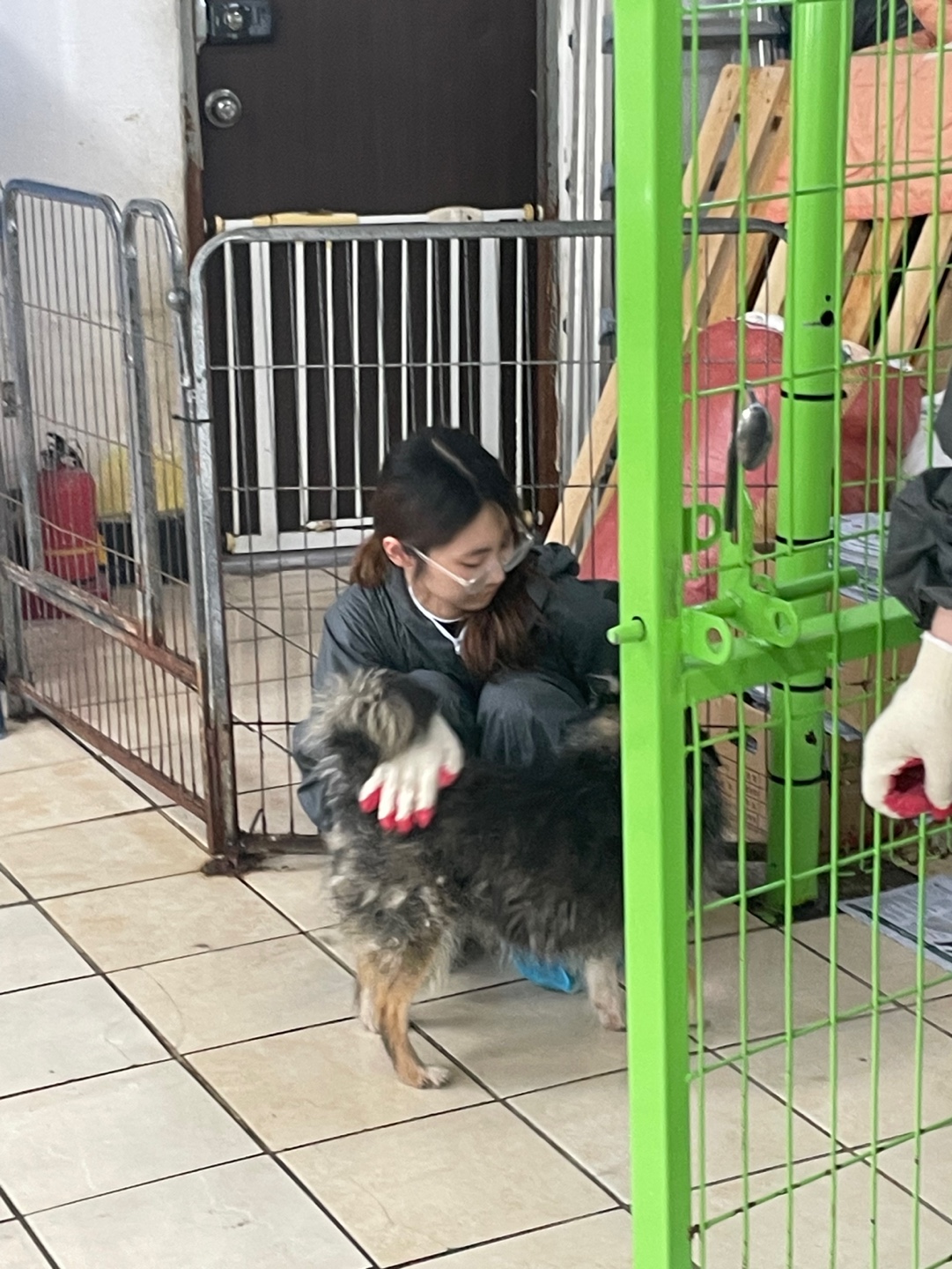 KakaoTalk_20260525_221712337_04.jpg