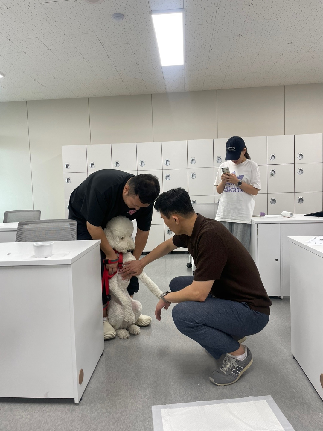 KakaoTalk_20240909_093830642_11.jpg