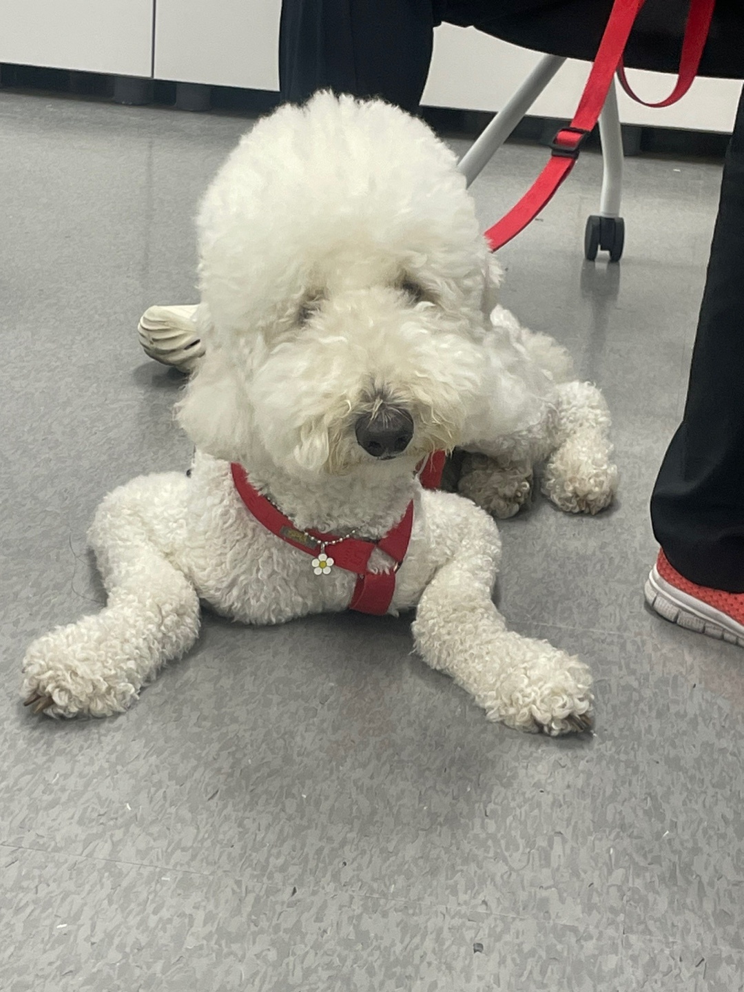 KakaoTalk_20240909_093830642_04.jpg
