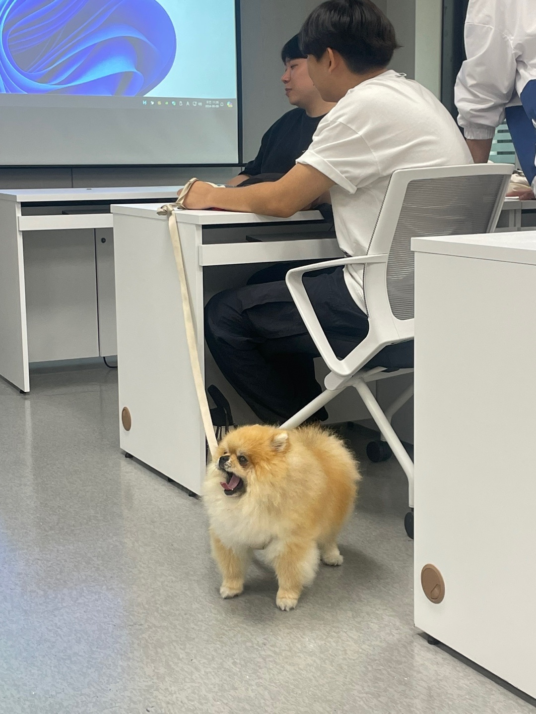 KakaoTalk_20240909_093830642_07.jpg