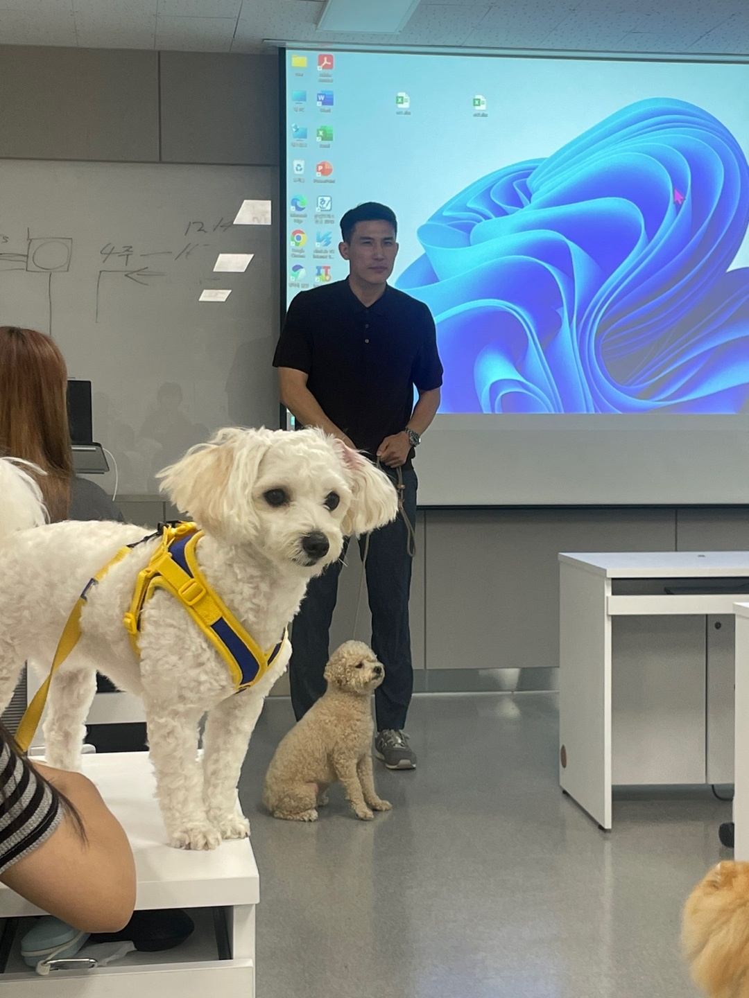 KakaoTalk_20240909_093830642_09.jpg