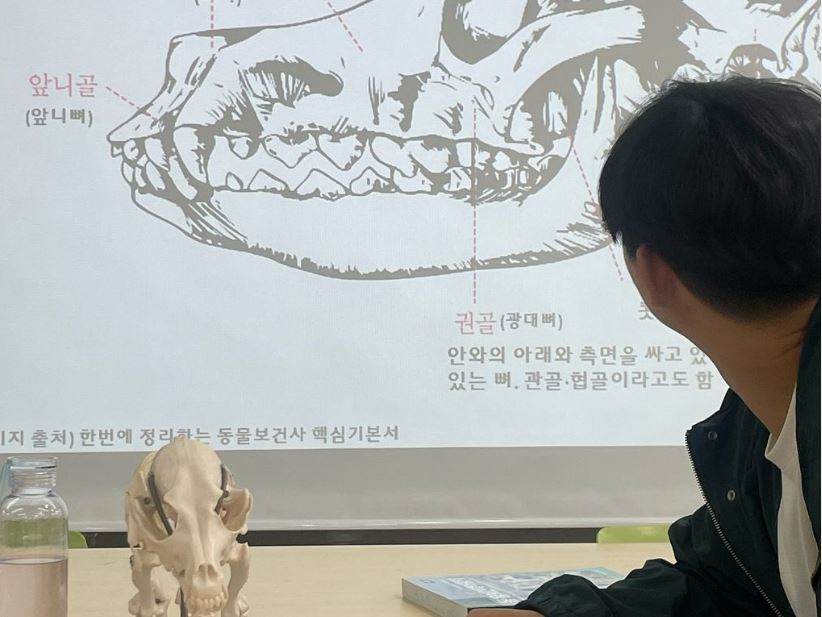 6.JPG