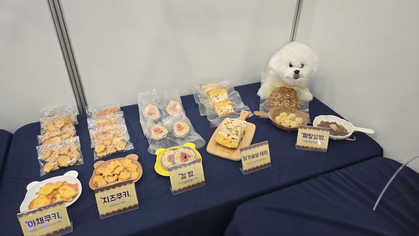 KakaoTalk_20241028_094937203_02.jpg