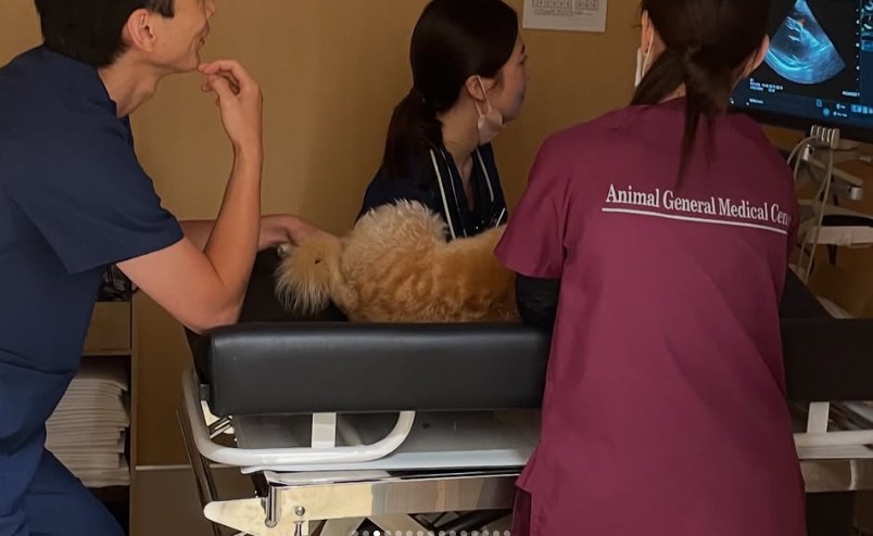 화면 캡처 2026-02-03 152932.jpg