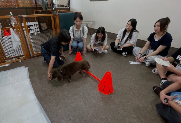 화면 캡처 2026-02-03 152709.jpg