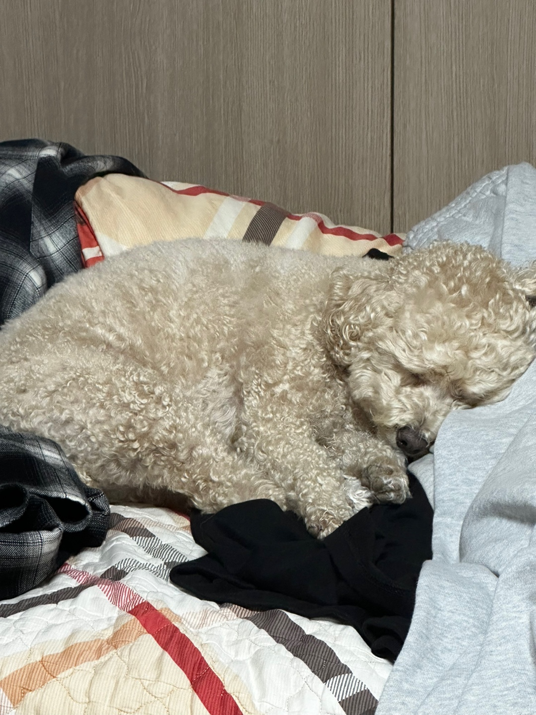 KakaoTalk_20241028_095121946.jpg