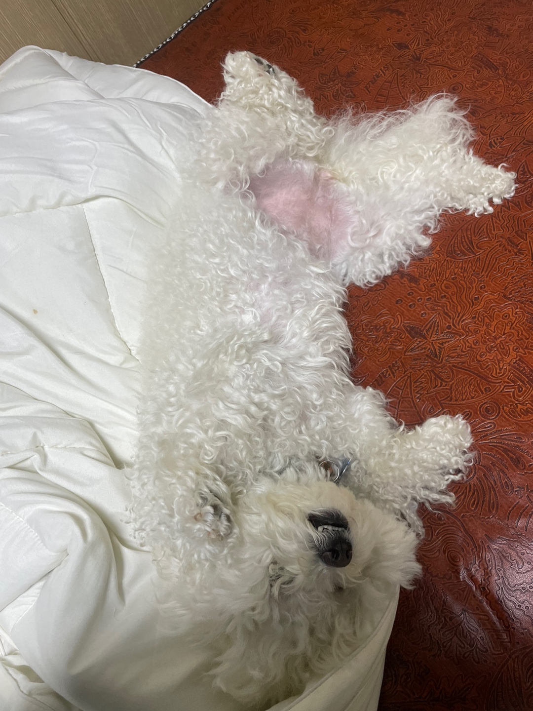 KakaoTalk_20241028_095124672.jpg