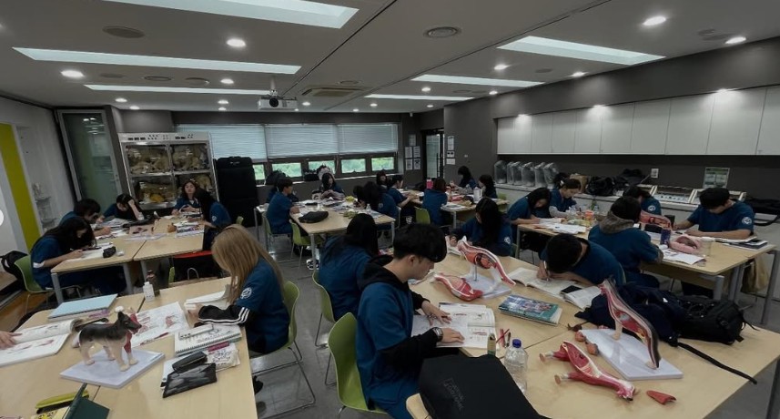 화면 캡처 2026-02-03 154355.jpg