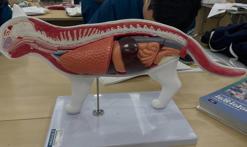 화면 캡처 2026-02-03 154334.jpg