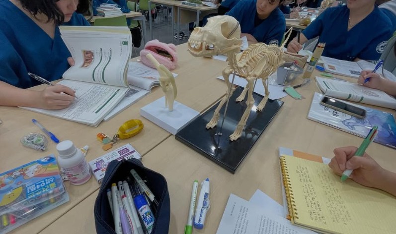 화면 캡처 2026-02-03 153704.jpg