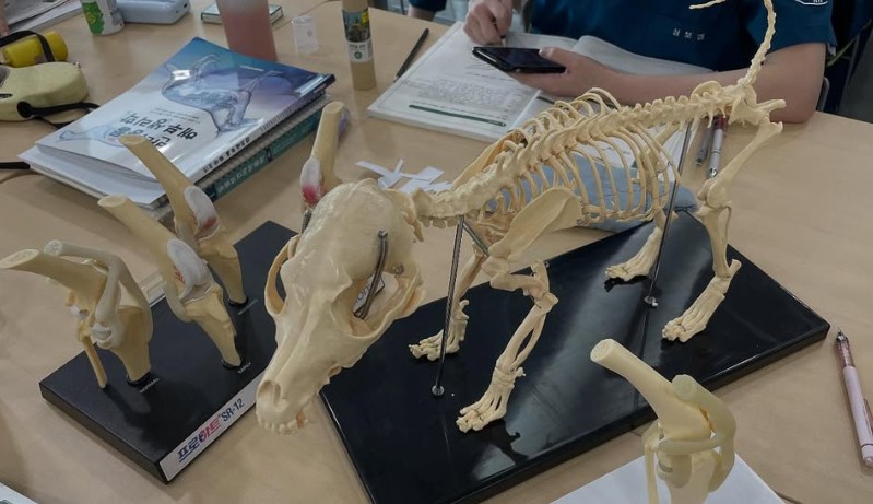 화면 캡처 2026-02-03 153647.jpg