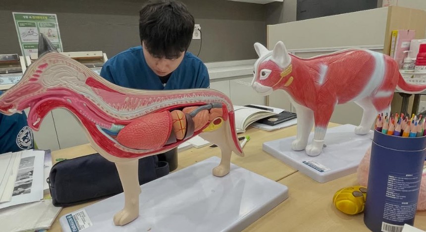 화면 캡처 2026-02-03 154324.jpg