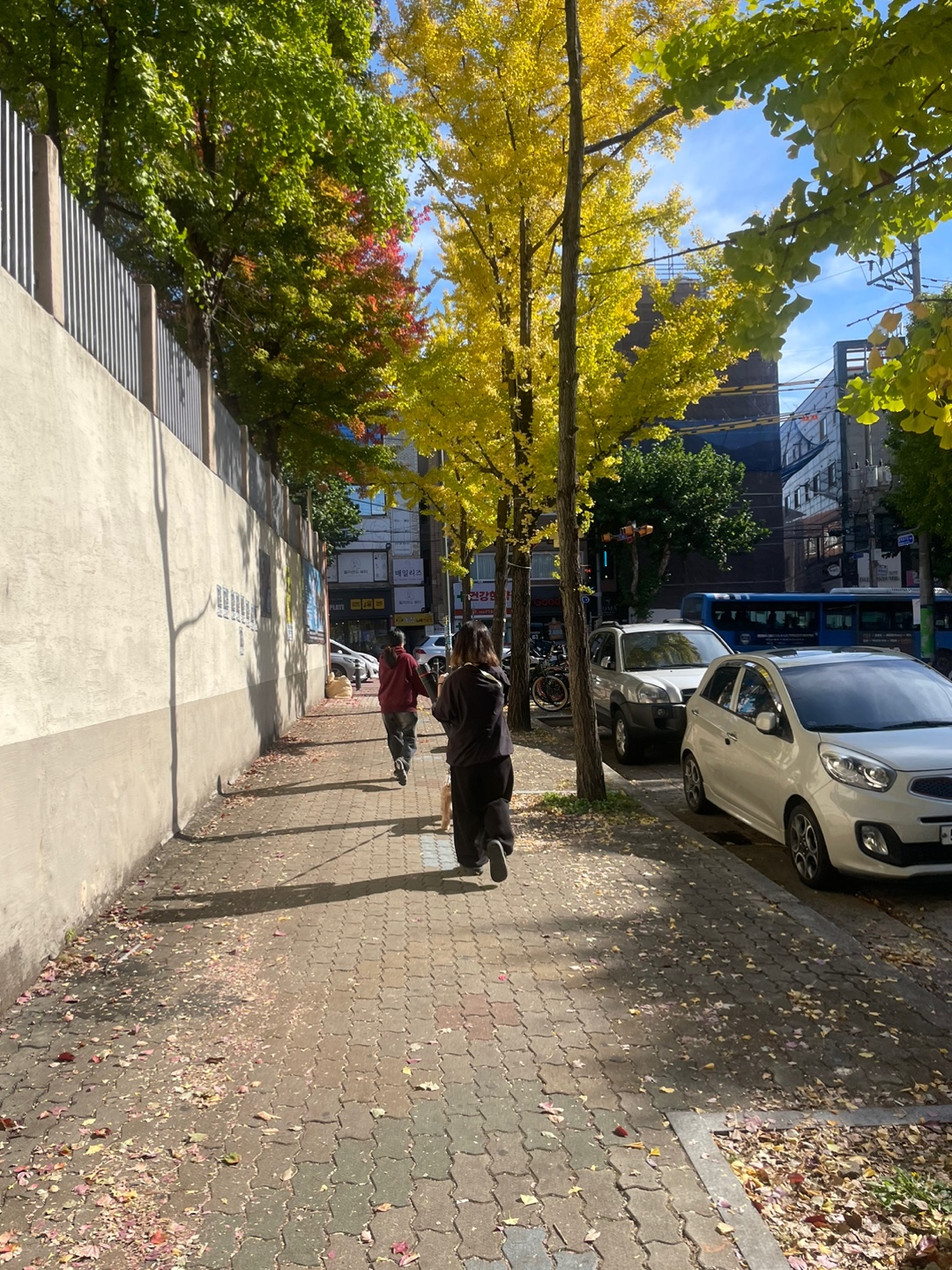 KakaoTalk_20241109_001246834_09.jpg