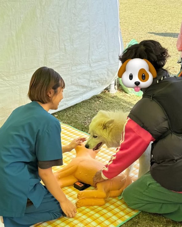 화면 캡처 2026-02-03 155123.jpg