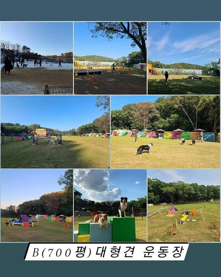 KakaoTalk_20211028_172911017.jpg